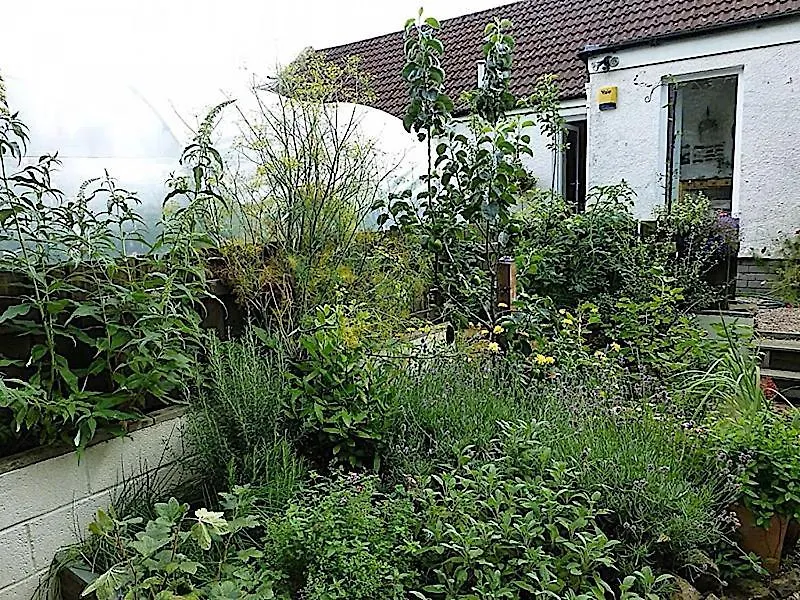 Bed & Breakfast 3 Bed Charming Cottage For Share ,Private Double Room , Fast Fibre Optik Int, Free Parking, Garden Edinburgh